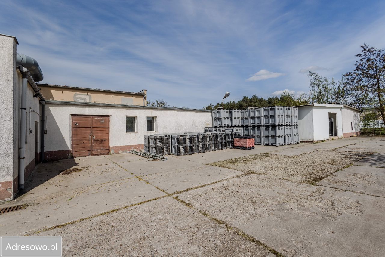 Hala/magazyn Międzychód. Zdjęcie 8