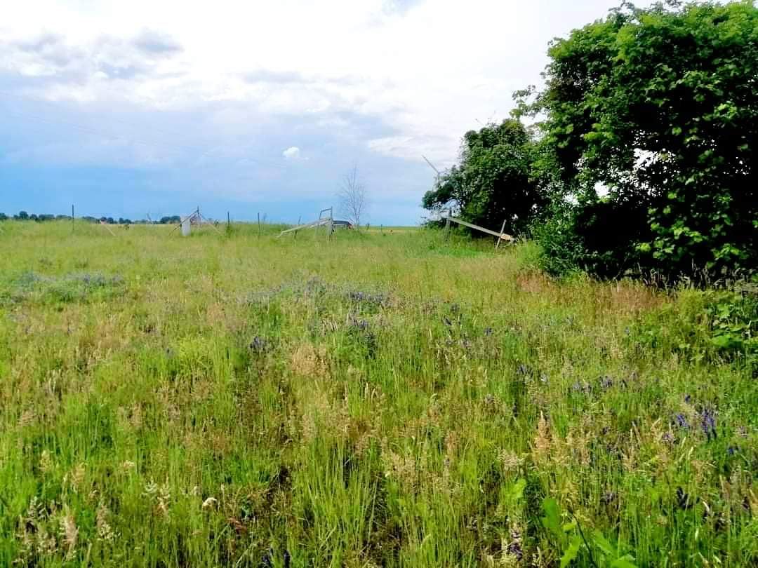 Działka budowlana Boleszkowice, ul. Sportowa