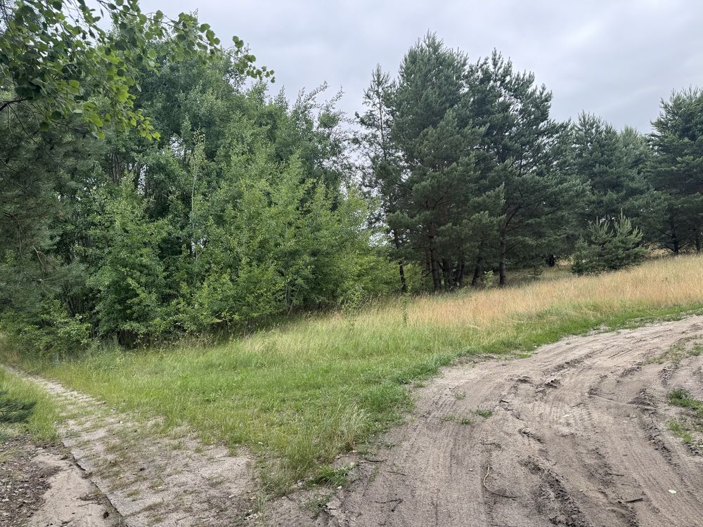 Działka budowlana Nowe Biskupice. Zdjęcie 5