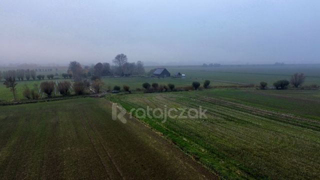 Działka budowlana Drewnica, ul. Wierzbowa. Zdjęcie 7