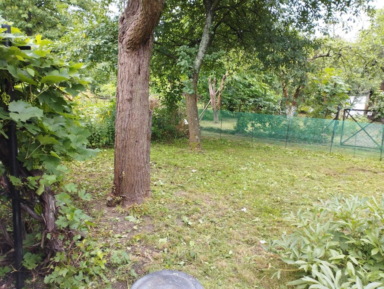 Działka rod Wrocław Krzyki, ul. Spiska. Zdjęcie 7