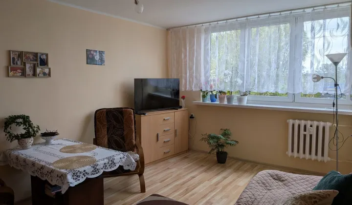 Mieszkanie 1-pokojowe Będzin Syberka