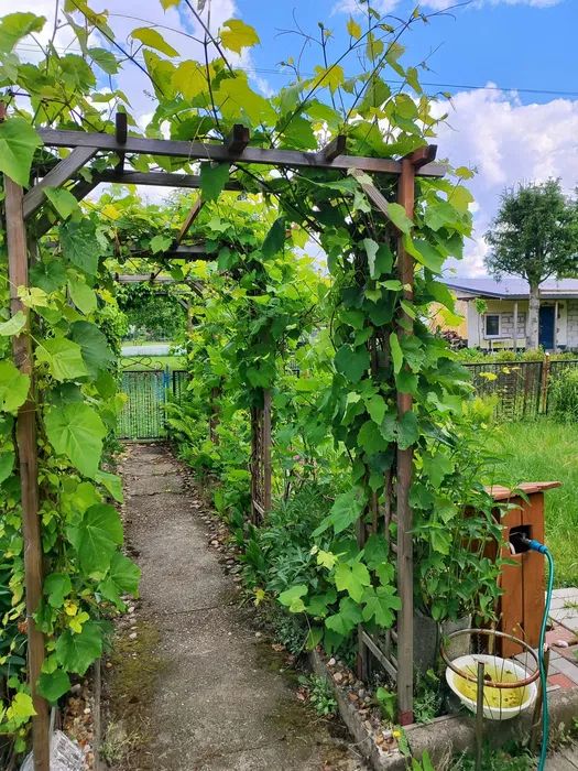 Działka rekreacyjna Zielona Góra Jędrzychów, ul. Kopciuszka. Zdjęcie 7
