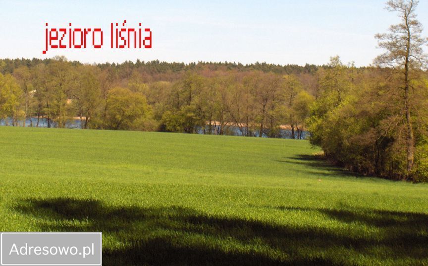 Działka rolna Chrzypsko Małe. Zdjęcie 7