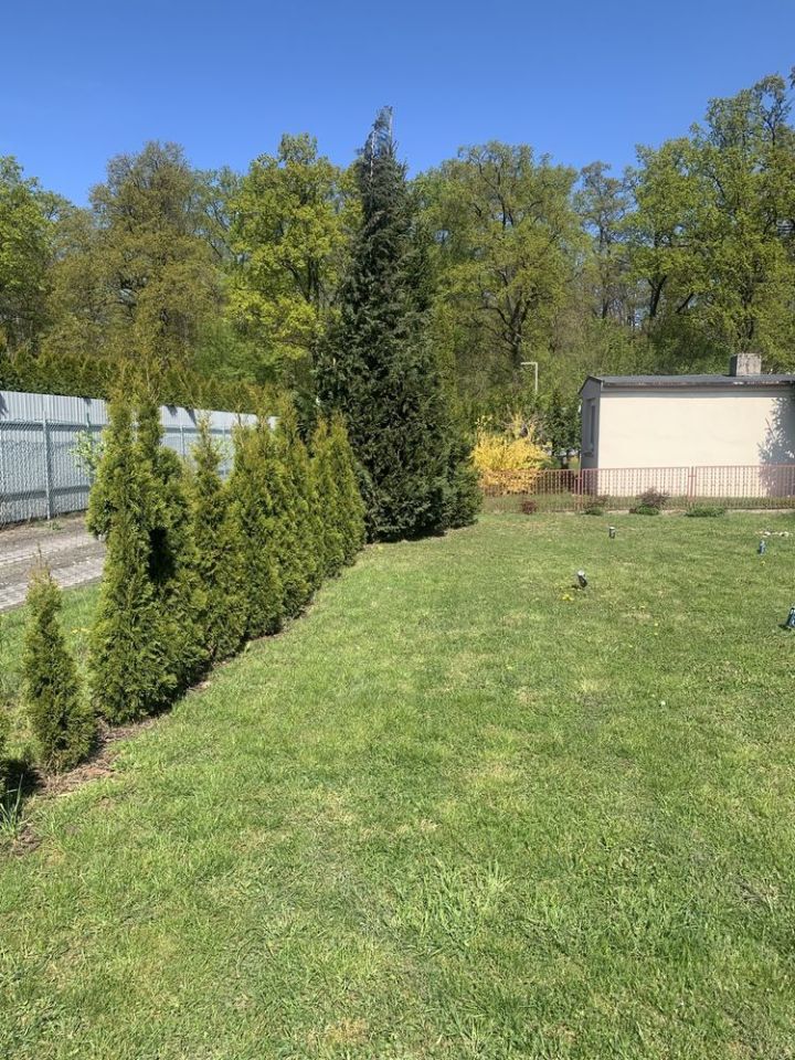 Działka rod Opalenica. Zdjęcie 6