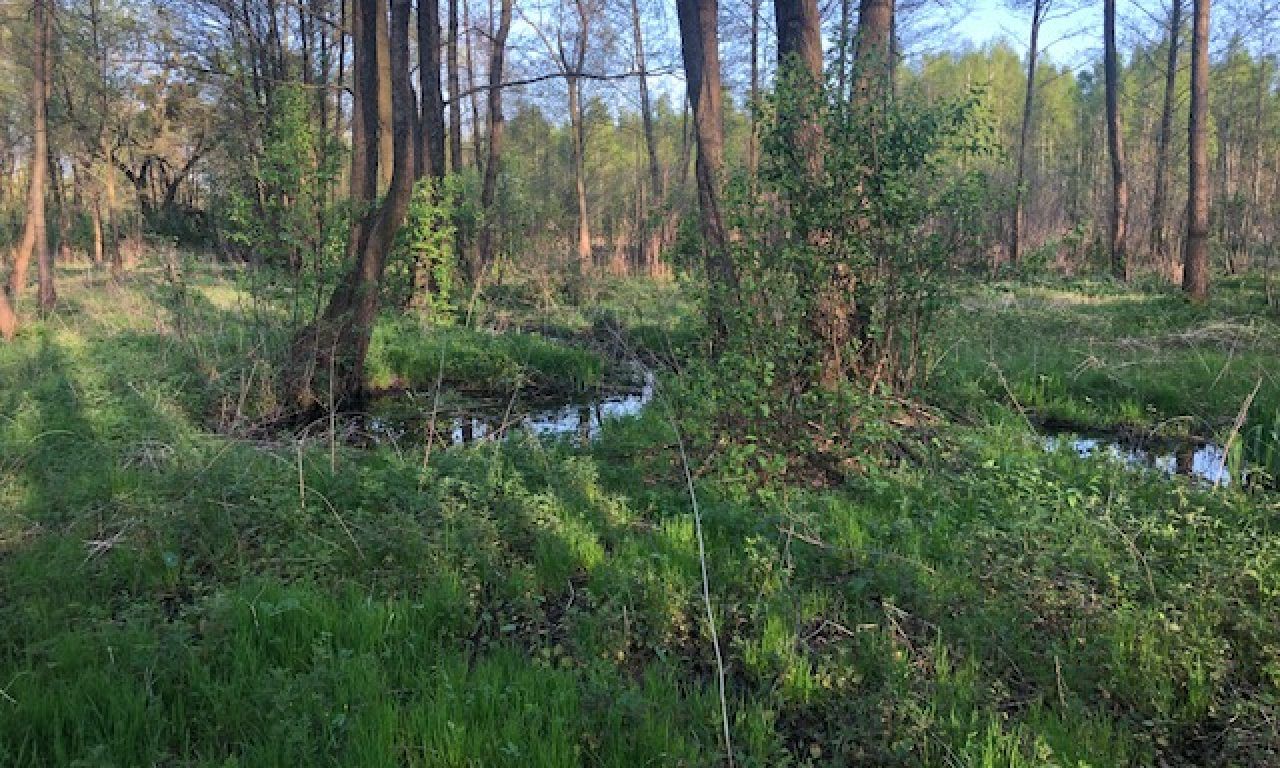 Działka budowlana Tomaszew. Zdjęcie 8