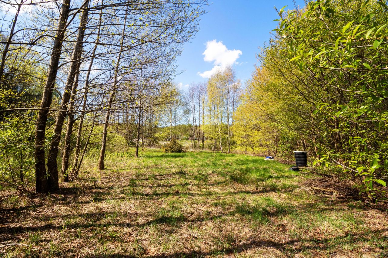 Działka rolna Dargiń. Zdjęcie 12