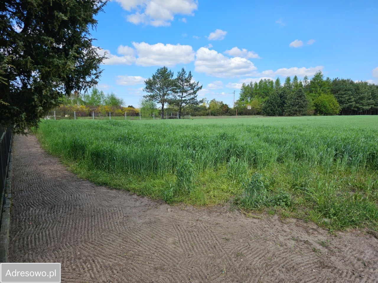 Działka rolna Malużyn. Zdjęcie 2