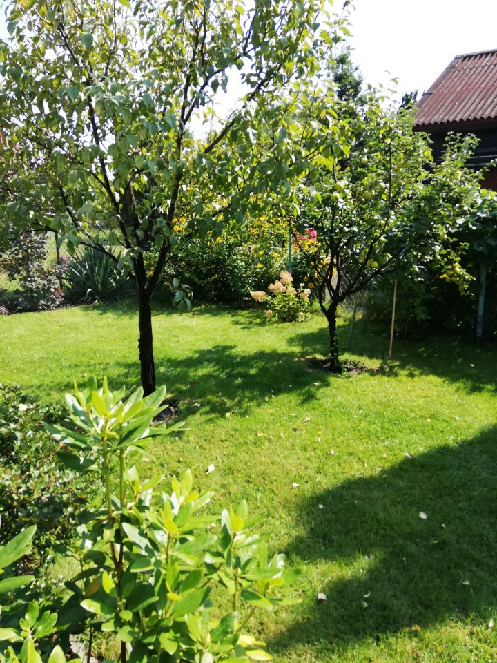 Działka rod Warszawa Bemowo, Dzialka ROD Bemowo II. Zdjęcie 23