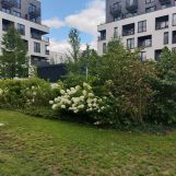 Mieszkanie 3-pokojowe Warszawa Mokotów, ul. Taśmowa. Zdjęcie 1