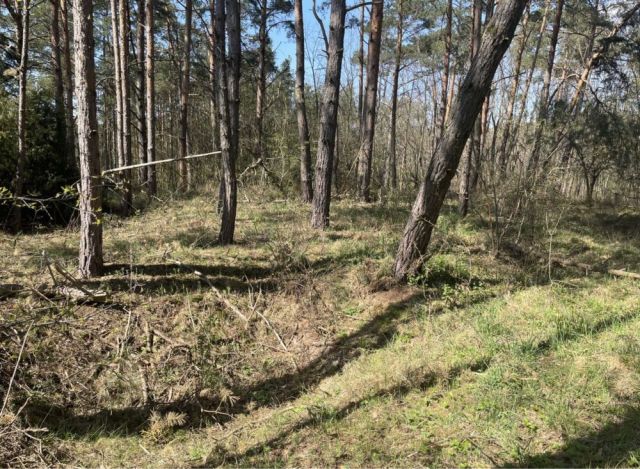 Działka rekreacyjna Górsko. Zdjęcie 1
