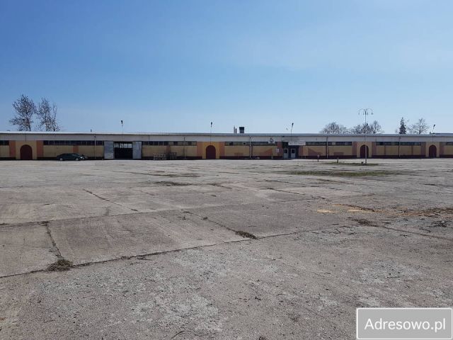 Hala/magazyn Radzyń Podlaski, ul. Budowlanych. Zdjęcie 1