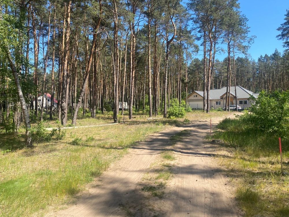 Działka budowlana Borek. Zdjęcie 2