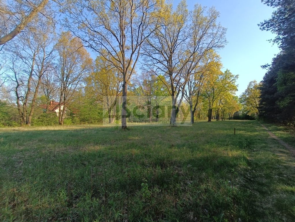 Działka budowlana Jabłonna. Zdjęcie 4