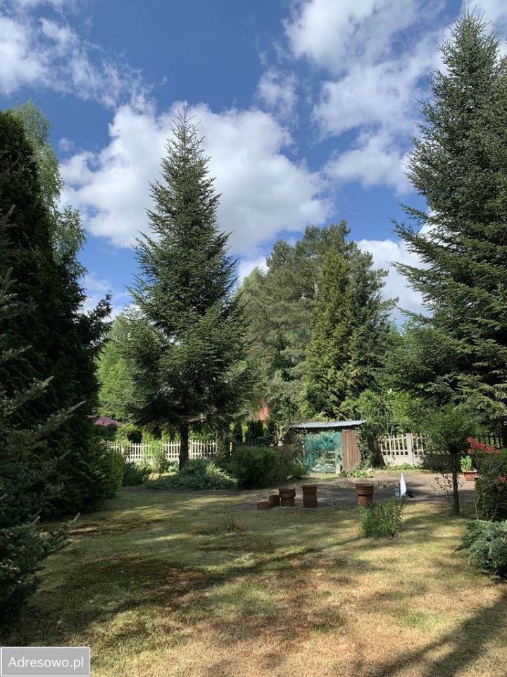 Działka rekreacyjna Brzezie. Zdjęcie 4