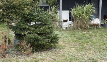 dom letniskowy, 2 pokoje Ostrowsko