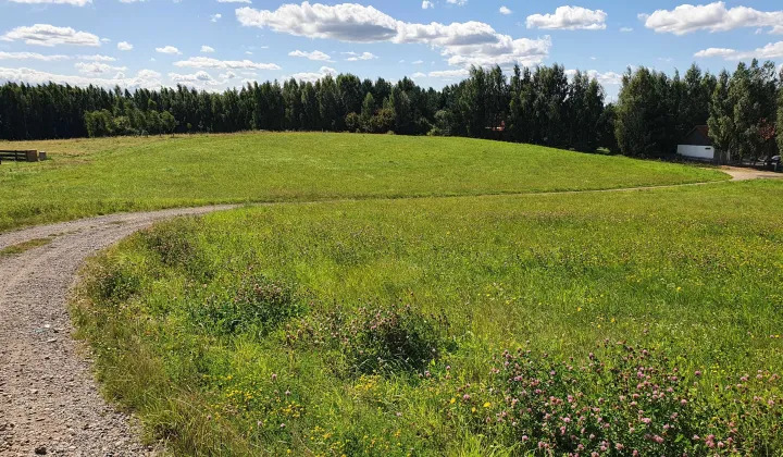 Działka budowlana Suryty