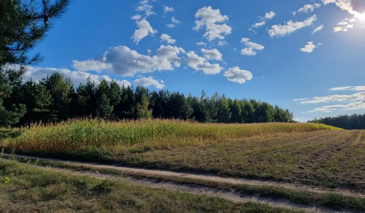 Działka budowlana Trypucie, brak