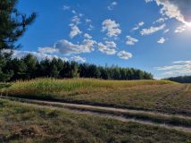 Działka budowlana Trypucie, brak