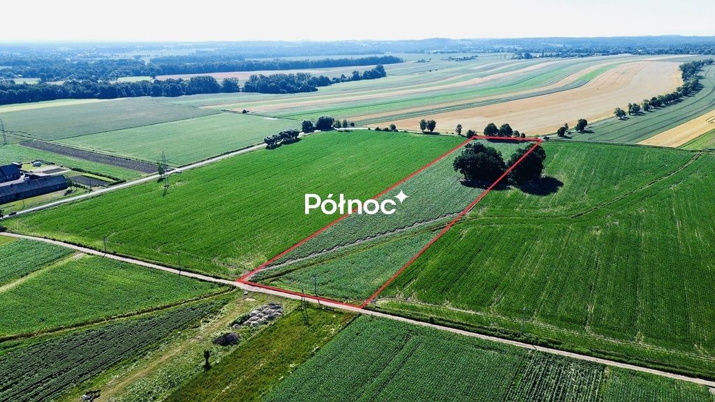 Działka rolna Chudów, ul. Szkolna. Zdjęcie 4