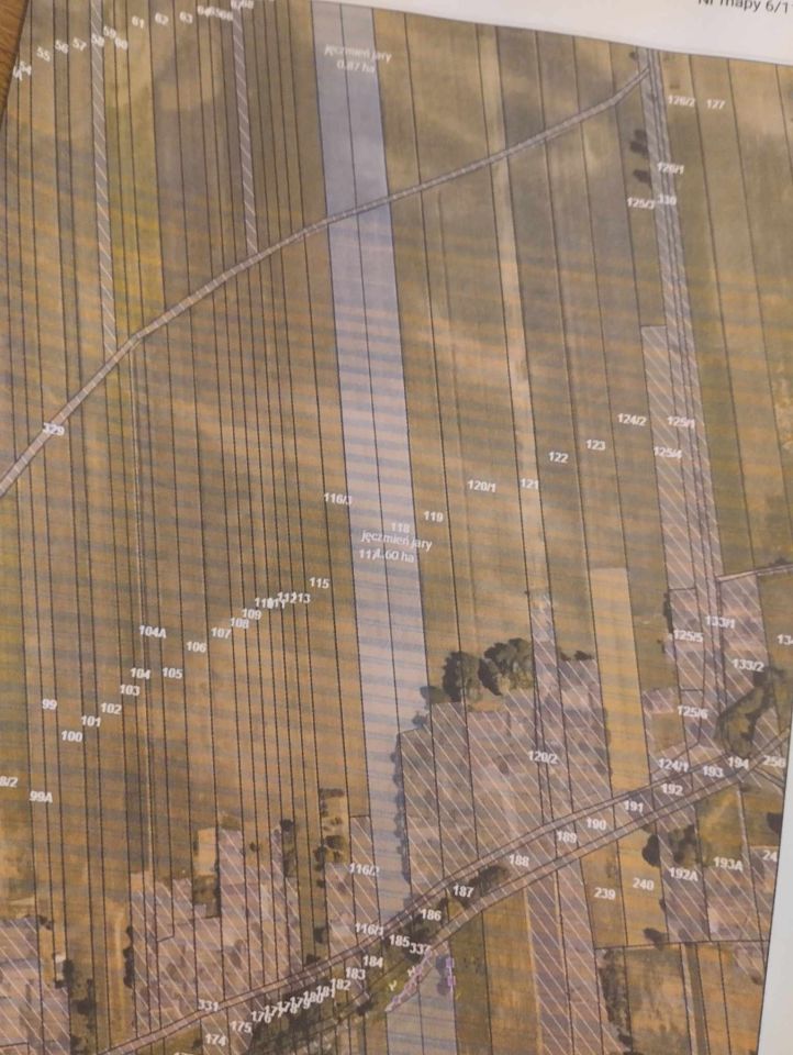 Działka rolno-budowlana Mostki. Zdjęcie 2