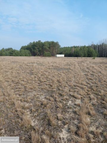 Działka budowlana Wólka-Wojciechówek. Zdjęcie 1