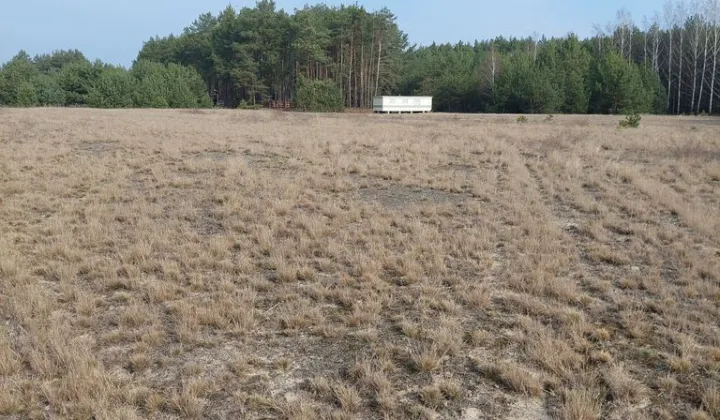 Działka budowlana Wólka-Wojciechówek