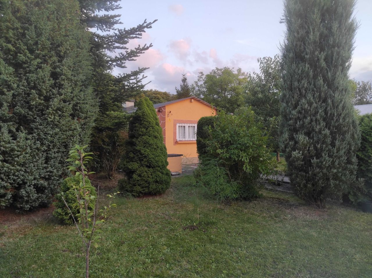 Działka rod Zabrze, ul. Malinowa. Zdjęcie 2