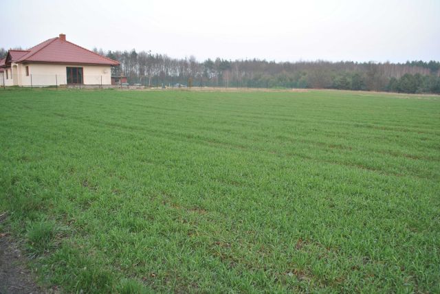 Działka budowlana Gutowo, ul. Myśliwska. Zdjęcie 1