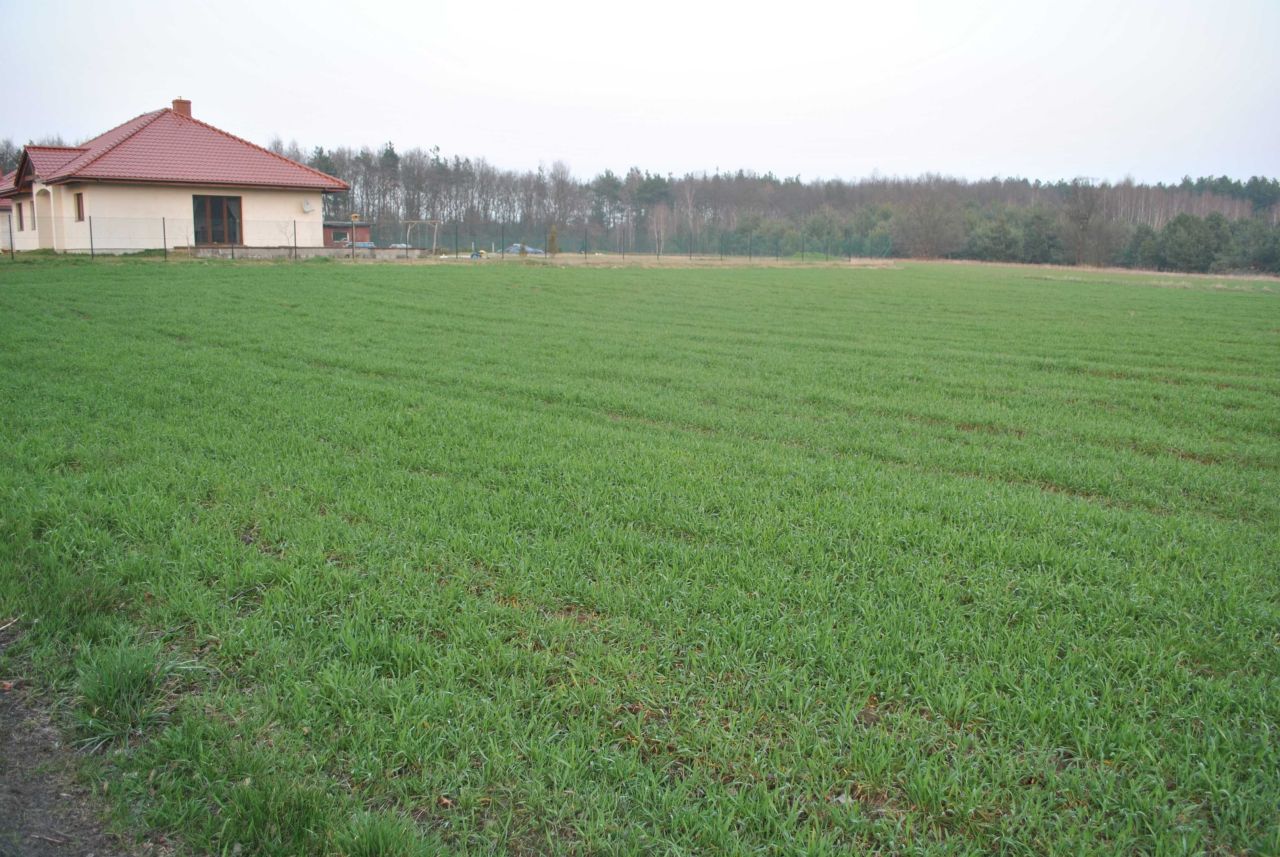 Działka budowlana Gutowo, ul. Myśliwska