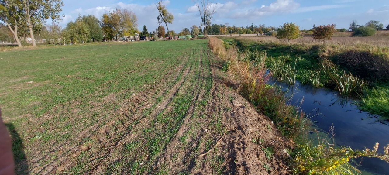 Działka rolna Mikołajew. Zdjęcie 8