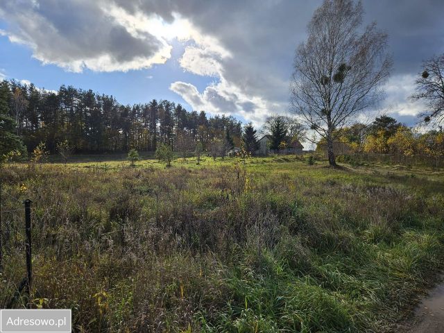 Działka rolna Nowa Wieś. Zdjęcie 1