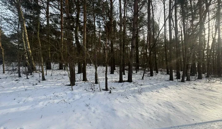 Działka leśna Kuźnica Żerechowska