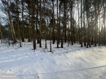 Działka leśna Kuźnica Żerechowska