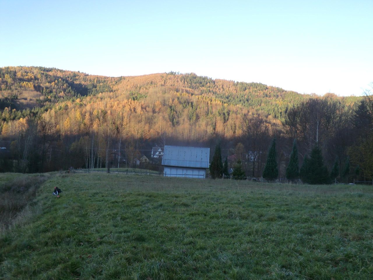 Działka rekreacyjna Juszczyna Puścizna. Zdjęcie 1