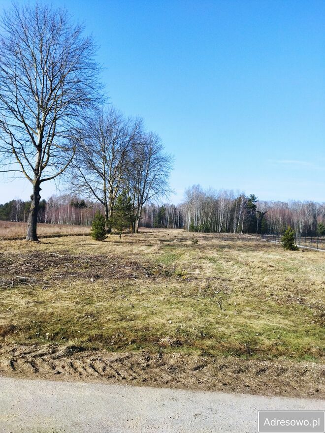 Działka budowlana Borsukówka. Zdjęcie 5