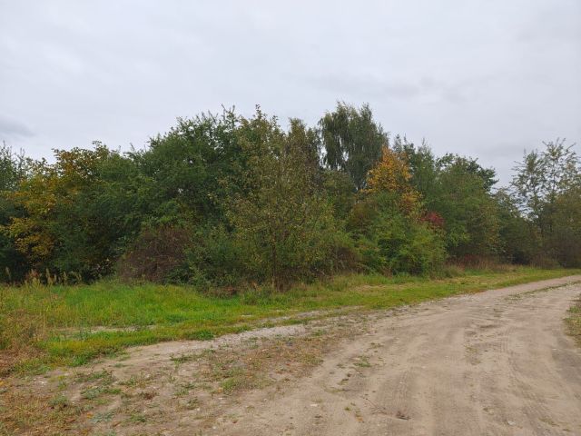 Działka budowlana Kostrzyn, ul. Bławatkowa. Zdjęcie 1