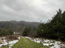 Działka budowlana Słona. Zdjęcie 1