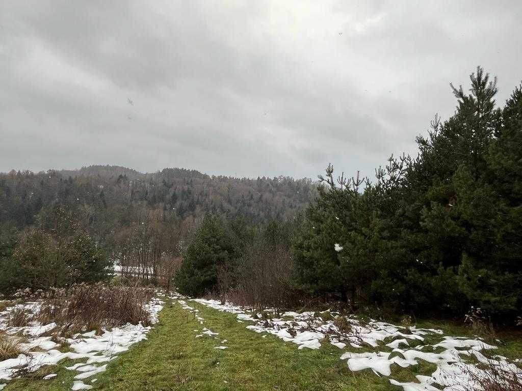 Działka budowlana Słona. Zdjęcie 2