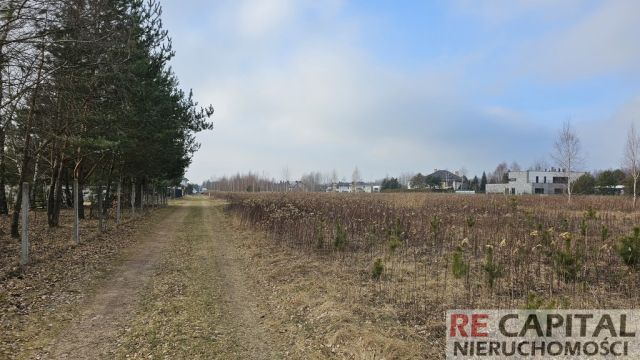 Działka siedliskowa Lipków. Zdjęcie 2