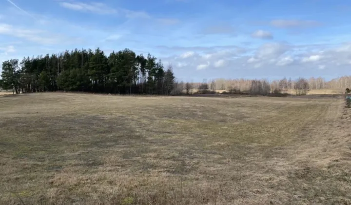 Działka rolno-budowlana Gremzdy Polskie