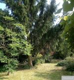 Działka siedliskowa Wolica. Zdjęcie 4