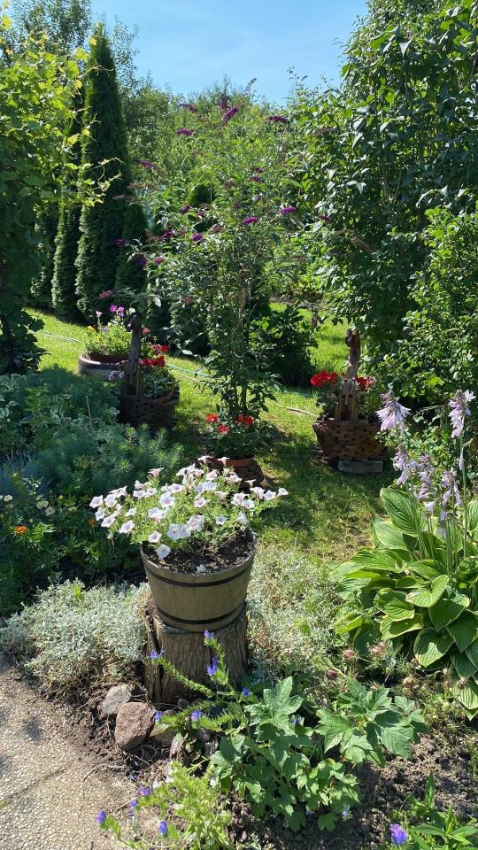 Działka rod Dzierzgoń. Zdjęcie 6