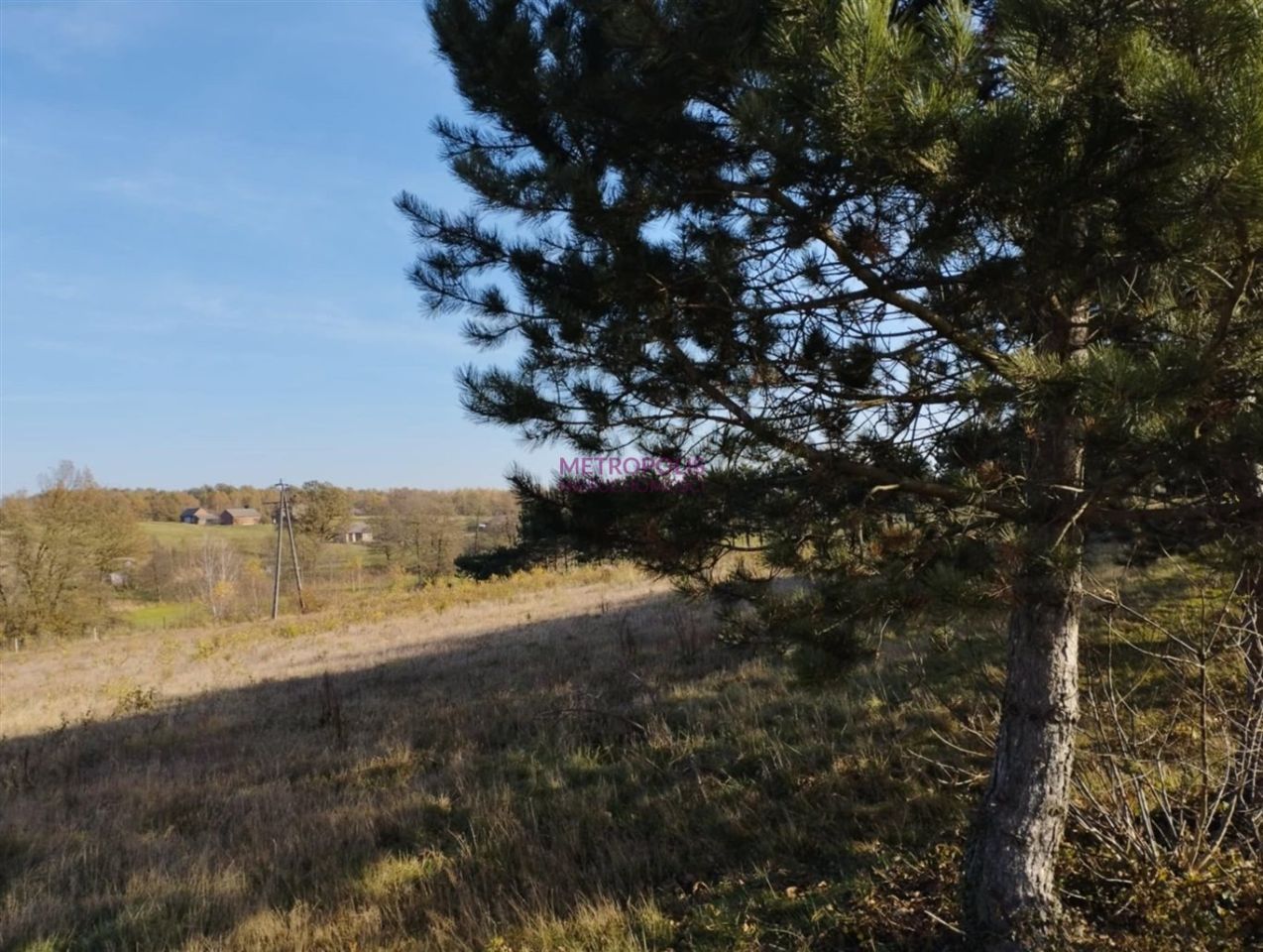 Działka siedliskowa Pstrążna. Zdjęcie 3