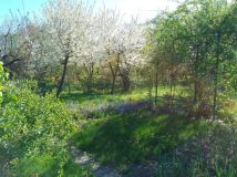 Działka rod Rzeszów Nowe Miasto, al. Niepodległości. Zdjęcie 3