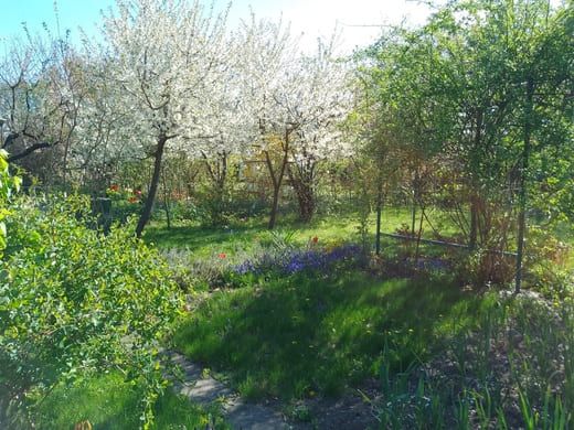 Działka rod Rzeszów Nowe Miasto, al. Niepodległości. Zdjęcie 4