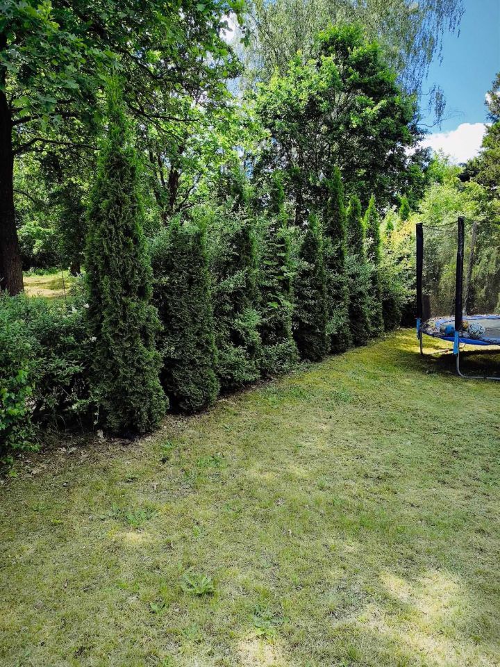 Działka rod Świdnica Łochowo. Zdjęcie 4