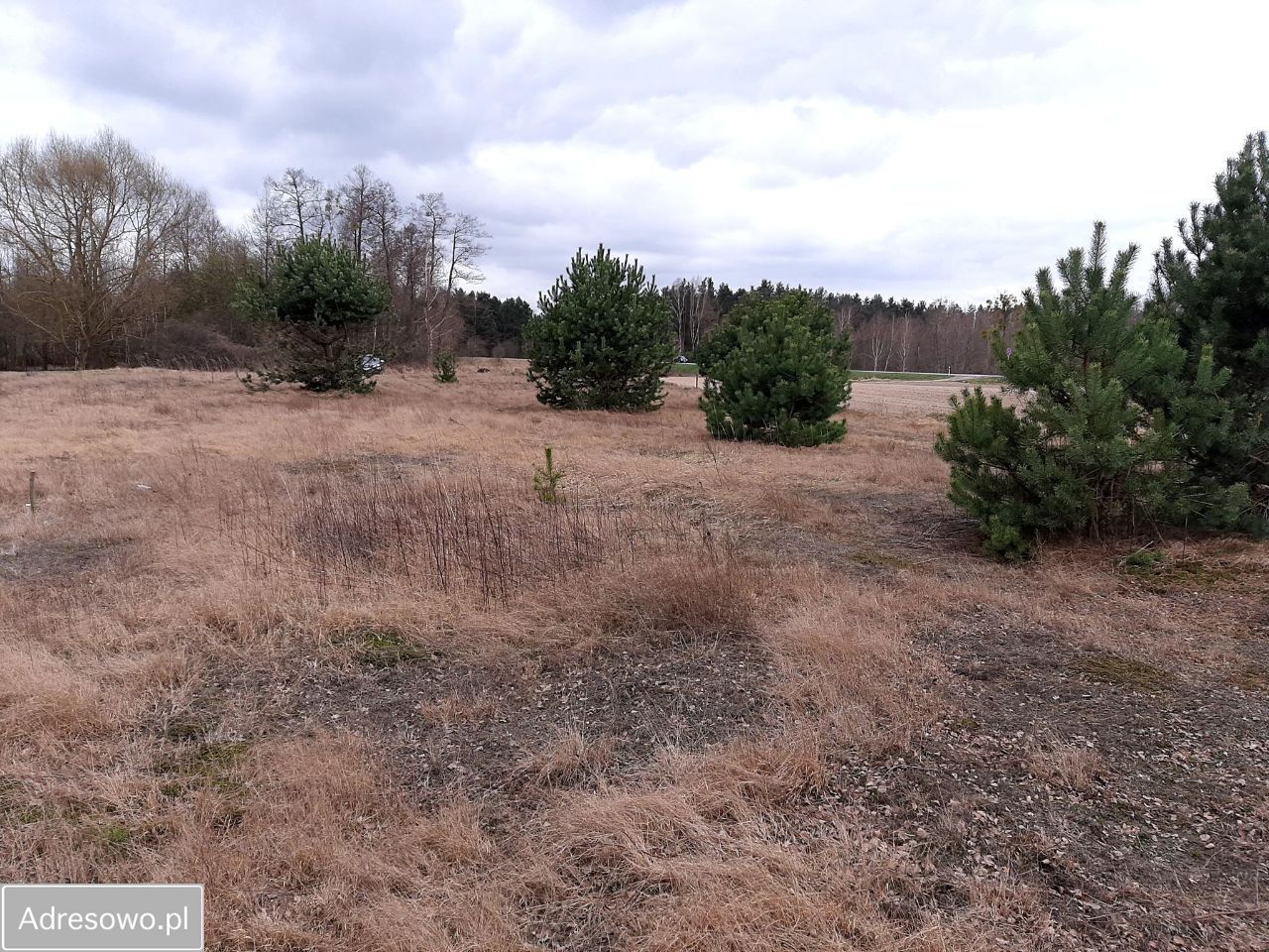 Działka budowlana Śladów. Zdjęcie 3