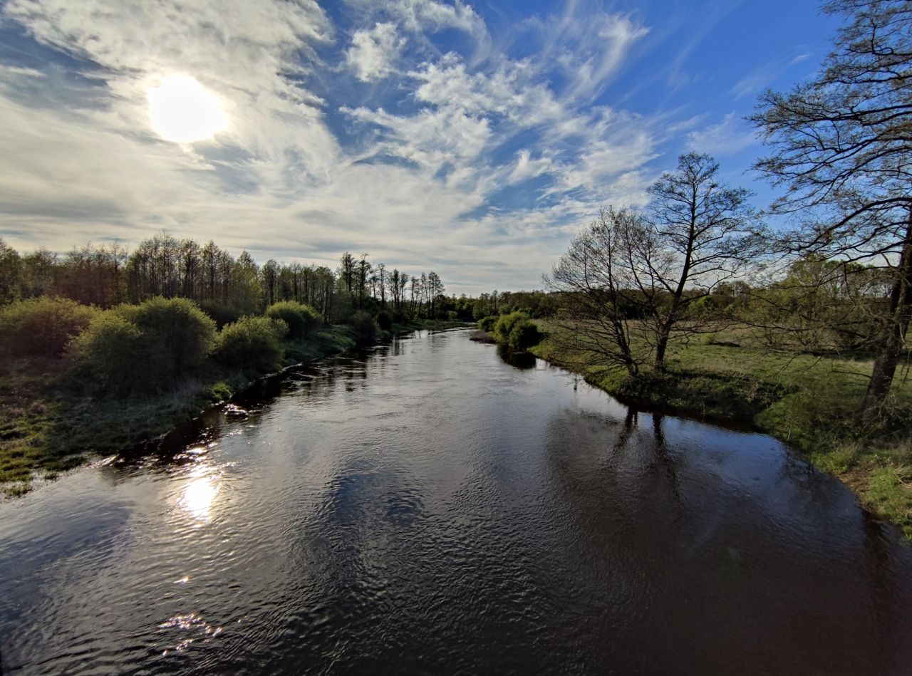 Działka budowlana Płaciszewo. Zdjęcie 10