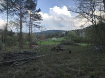 Działka budowlana Wołowiec. Zdjęcie 2